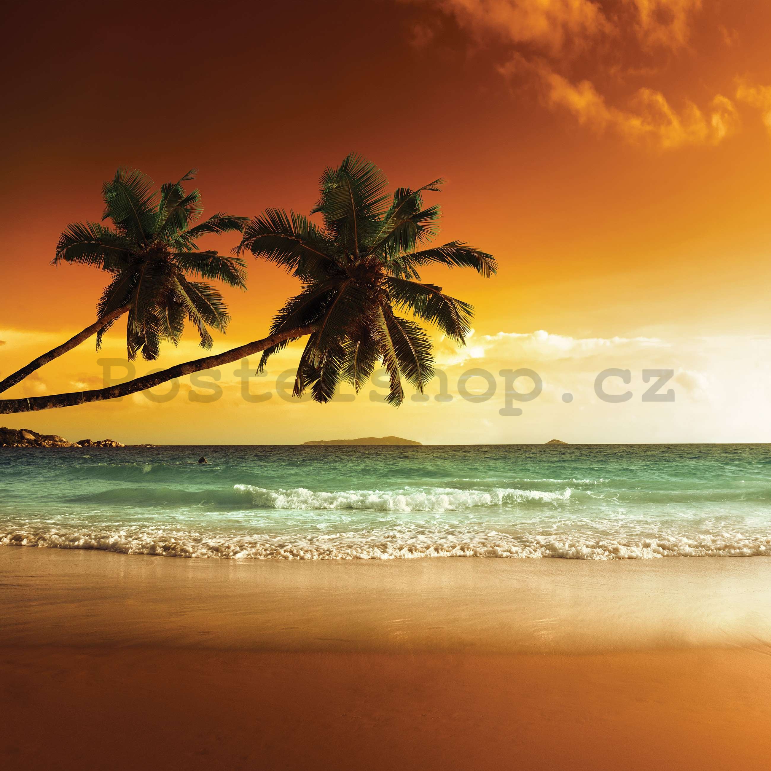 Fototapeta vliesová: Palmy a pláž při západu slunce - 416x254 cm