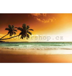Fototapeta vliesová: Palmy a pláž při západu slunce - 416x254 cm