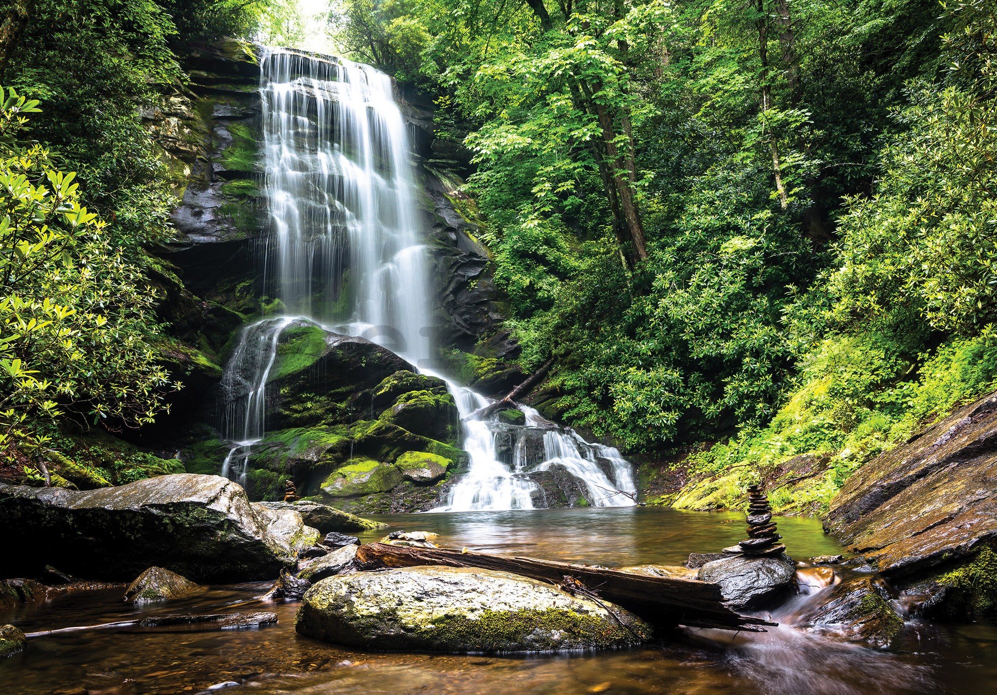 Fototapeta vliesová: Bílý vodopád v lese - 416x254 cm