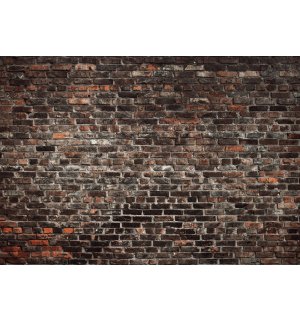 Fototapeta vliesová: Imitace cihlové zdi - 416x254 cm