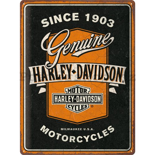 Plechová cedule: Harley-Davidson - Genuine Motorcycles Ribbon - 40x30 cm