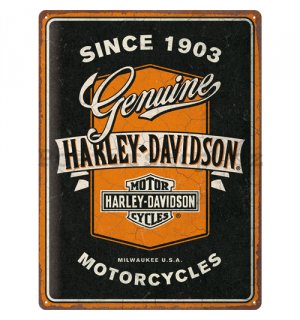 Plechová cedule: Harley-Davidson - Genuine Motorcycles Ribbon - 40x30 cm