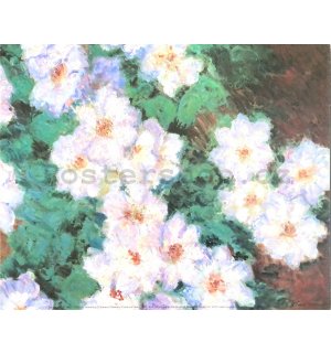 Claude Monet - Clematis - 24x30cm