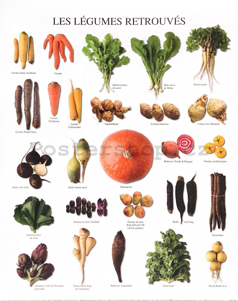 Vegetables of Yesteryears - 24x30cm
