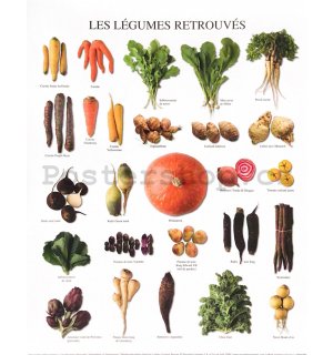 Vegetables of Yesteryears - 24x30cm