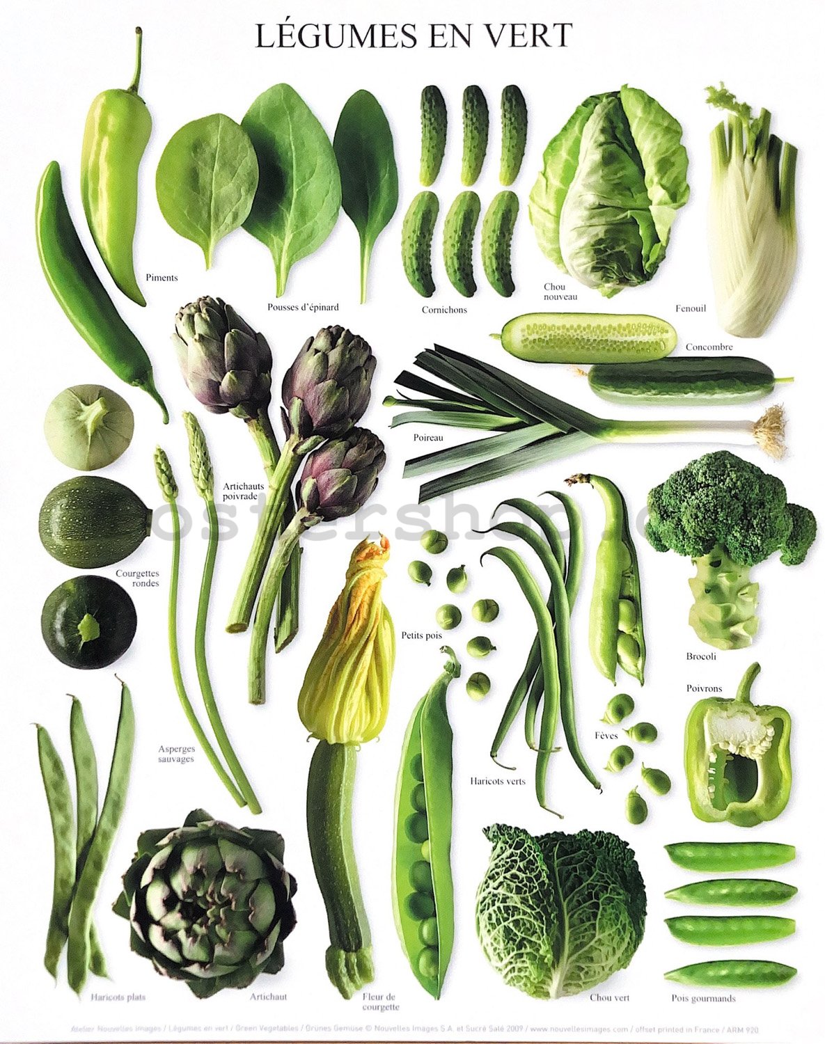 Green Vegetables - 24x30cm