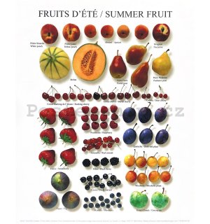 Atelier NI - Summer Fruit - 24x30cm