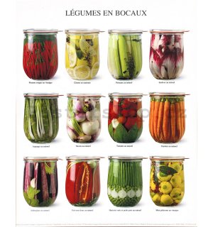 Atelier NI - Vegetables in jars - 24x30cm