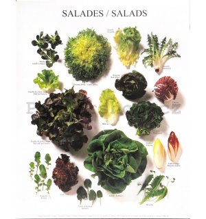 Atelier NI - Salads - 24x30cm