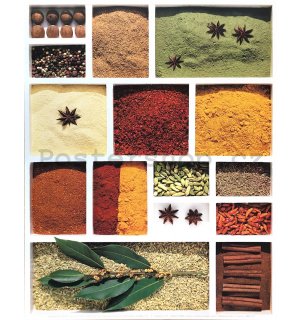 Camille Soulayrol - Spices - 24x30cm