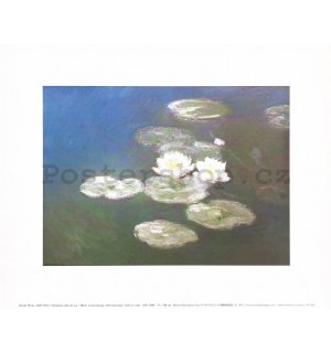 Claude Monet - 24x30cm