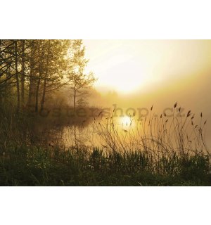 Fototapeta vliesová: Jezero v mlze - 152,5x104 cm