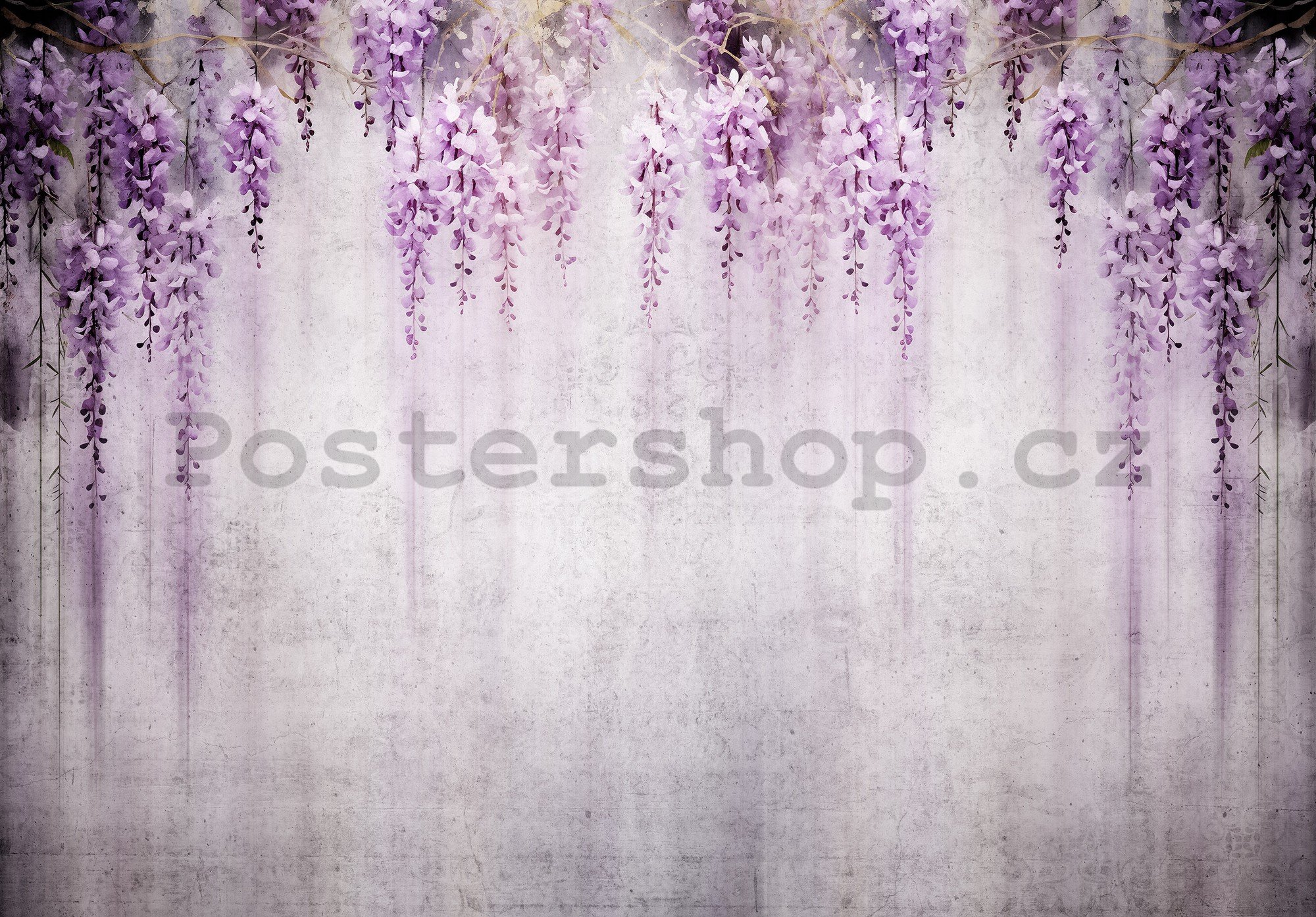 Fototapety vliesové: Flowers Violet Wisteria Romantic - 254x184 cm