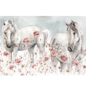 Fototapety vliesové: Horses - 254x184 cm