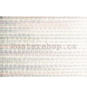 Fototapety vliesové: Abstraction (1) - 254x184 cm