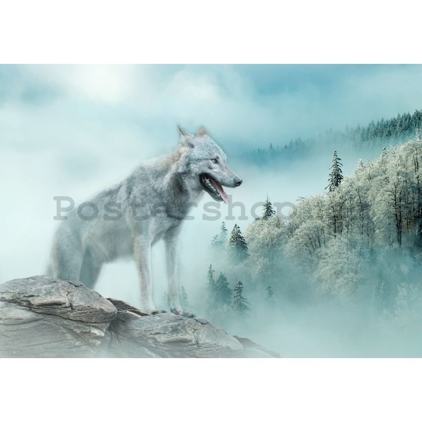 Fototapety vliesové: Nature forest wolf snow - 368x254 cm