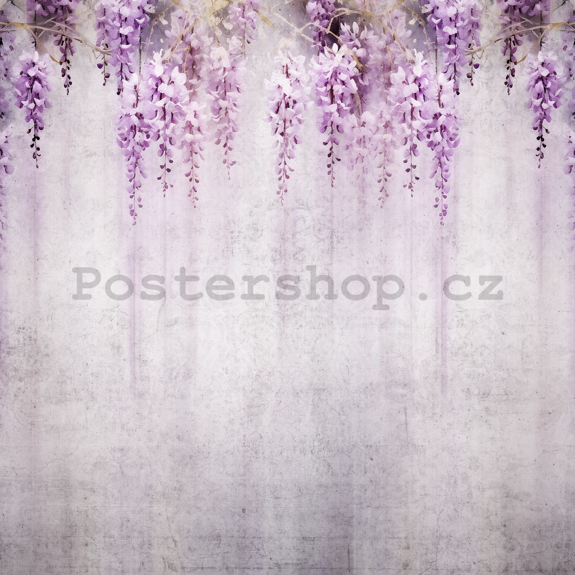 Fototapety vliesové: Flowers Violet Wisteria Romantic - 368x254 cm
