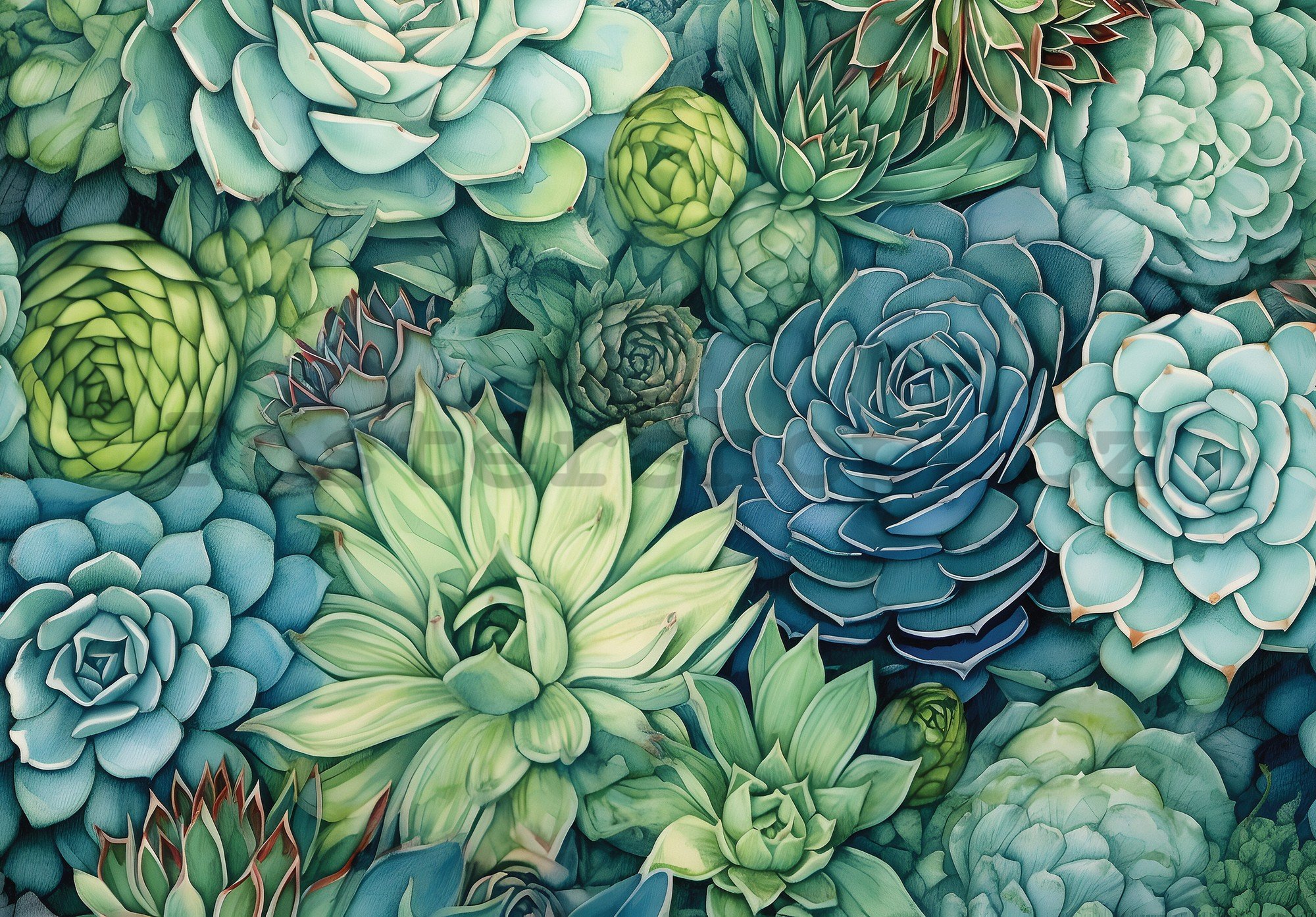Fototapety vliesové: Succulents - 368x254 cm