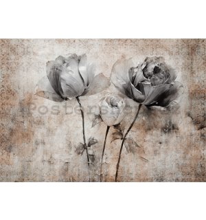 Fototapety vliesové: Flowers Roses Structure (1) - 368x254 cm