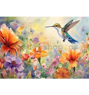 Fototapety vliesové: Hummingbird - 368x254 cm
