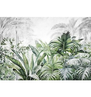 Fototapety vliesové: Nature Leaves Exotic Jungle (1) - 368x254 cm