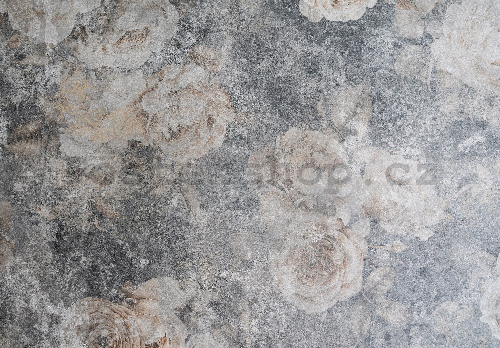 Fototapeta vliesová: Imitation structure flowers concrete - 152,5x104 cm