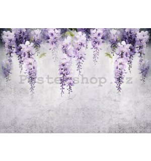 Fototapeta vliesová: Flowers Violet Wisteria Romantic (1) - 152,5x104 cm