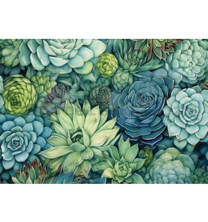Fototapeta vliesová: Succulents - 152,5x104 cm