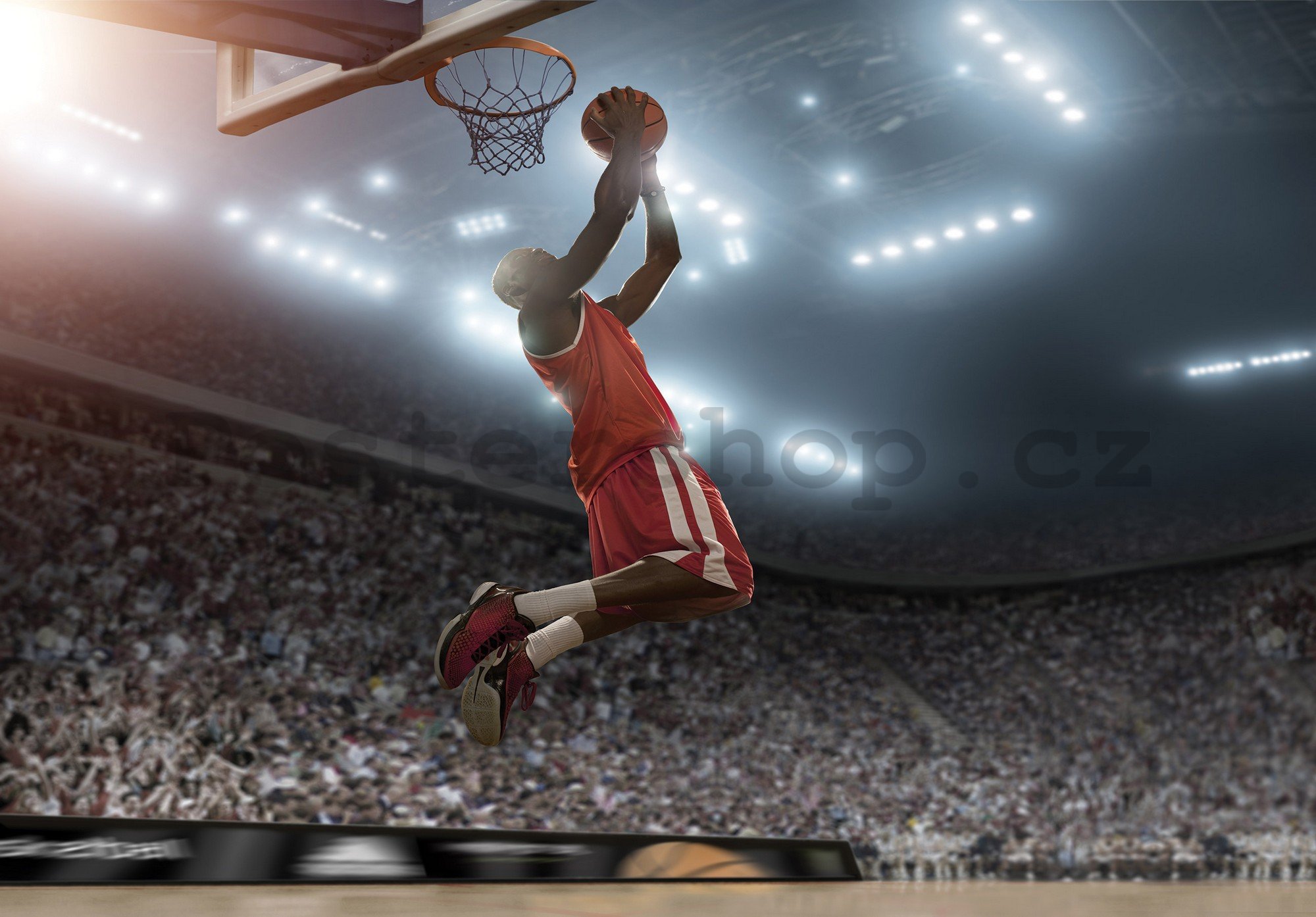 Fototapeta vliesová: Basketball player - 208x146 cm