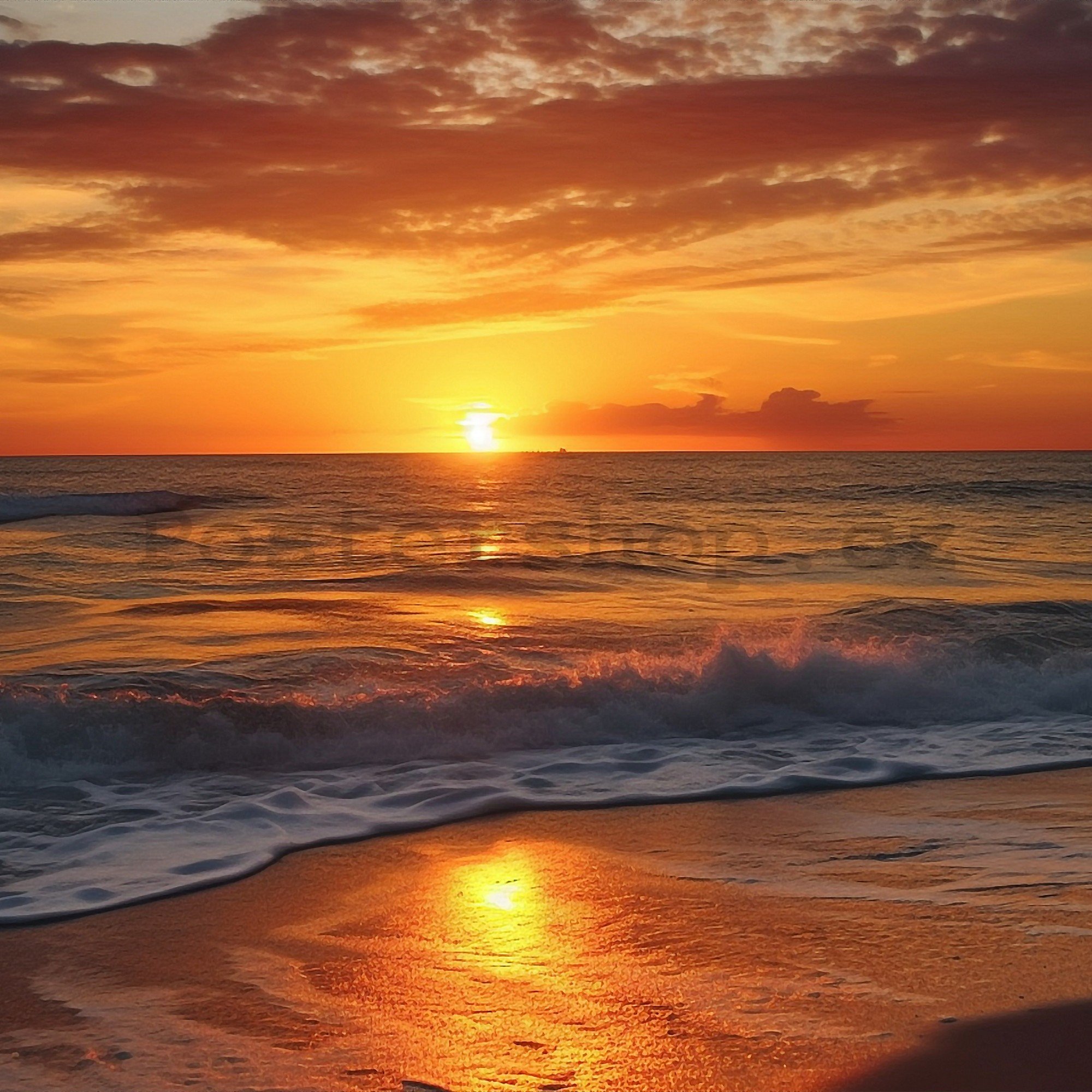 Fototapeta vliesová: Sea sunrise - 208x146 cm