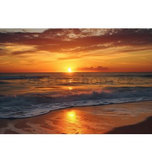 Fototapeta vliesová: Sea sunrise - 208x146 cm