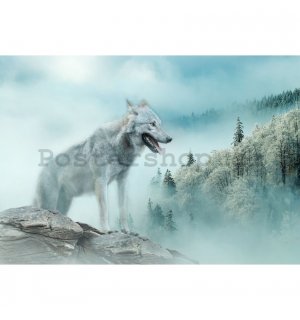 Fototapeta vliesová: Nature forest wolf snow - 312x219cm