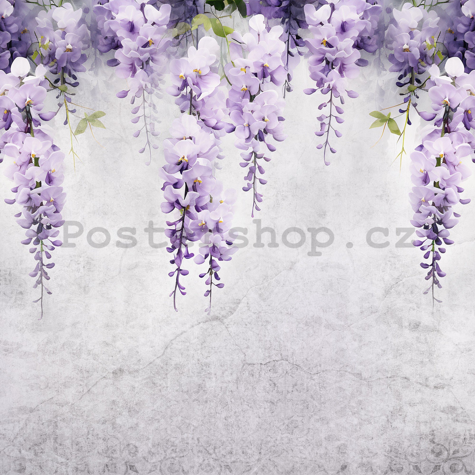 Fototapeta vliesová: Flowers Violet Wisteria Romantic (1) - 312x219cm