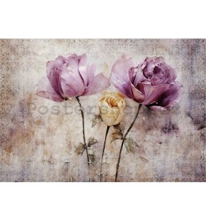 Fototapeta vliesová: Flowers Roses Structure - 416x254 cm