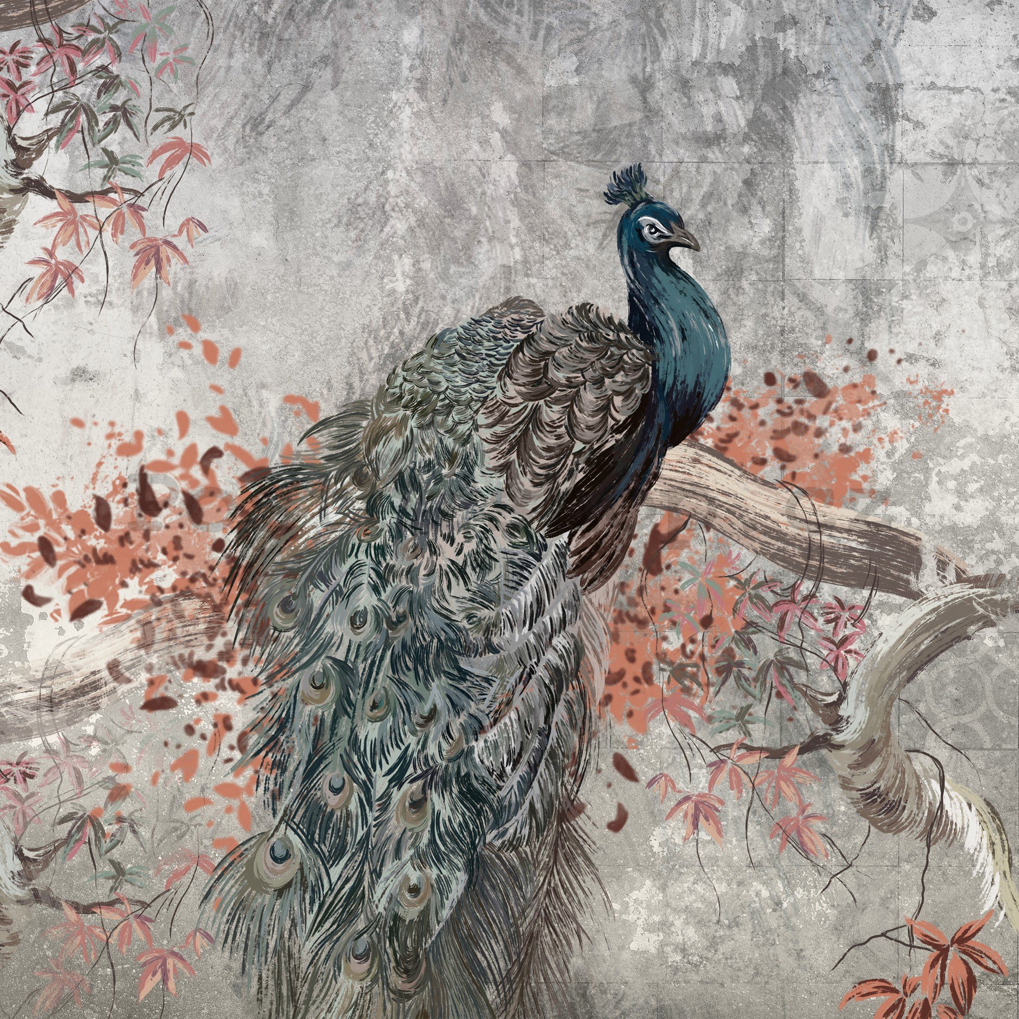 Fototapeta vliesová: Peacock - 416x254 cm