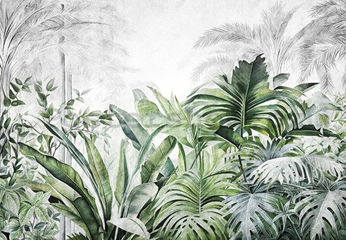 Fototapeta vliesová: Nature Leaves Exotic Jungle (1) - 416x254 cm